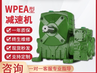 WPEA减速机蜗轮蜗杆减速机单级同轴