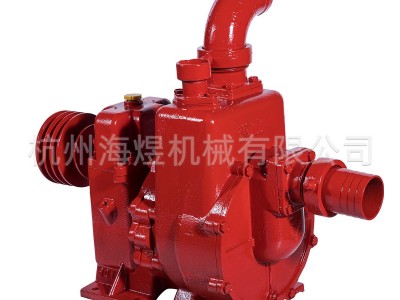 BPS-65铸铁高压双叶轮双吸入高扬程