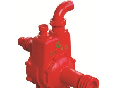 BPS-65铸铁双叶轮双吸入排污离心水