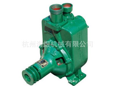 商家推荐50ZB喷灌泵  封闭式喷灌泵 