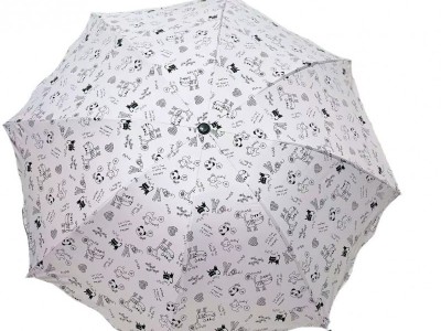 动物园上课堂雨伞晴雨两用高颜值黑