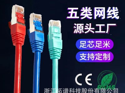 拓谱 超五类CAT5E千兆1m2米网络跳线