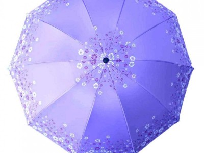 十骨双人加大晴雨雨伞两用紫外线遮