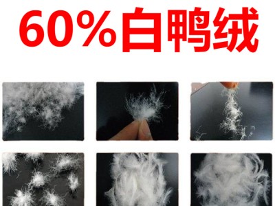 60羽绒 60鸭绒 60%白鸭绒
