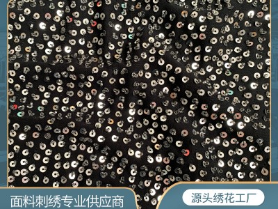 电脑绣花布刺绣面料沙丽珠管绣亮片