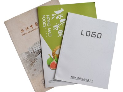 公司画册印刷设计 企业宣传册彩页 