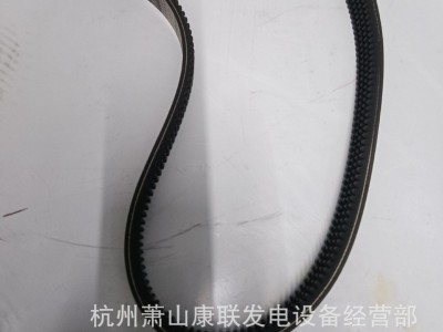 51.96820-0276 风扇皮带 MAN