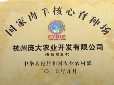浙江省湖羊原种场 湖羊种羊