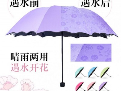 遇水开花折叠雨伞广告伞定制logo 黑