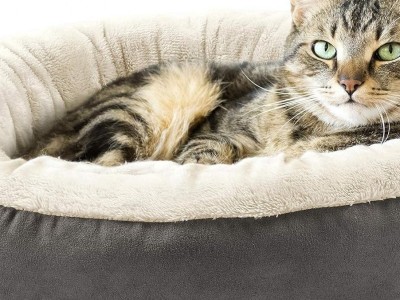 圆形甜甜圈猫和狗抱枕床20英寸猫或