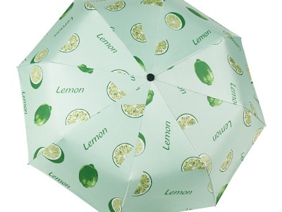 全自动折叠加印logo晴雨两用定广告