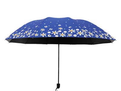 超大号雨伞男女三人双人晴雨两用伞