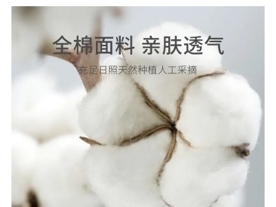 酒店凌空羽绒床垫双层加厚软床褥双