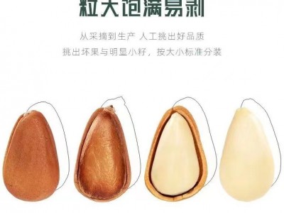 东北松子新货5KG散装开口大颗粒坚果
