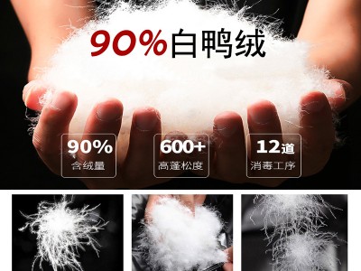 中羽男式羽绒内衣冬季保暖长袖90%白