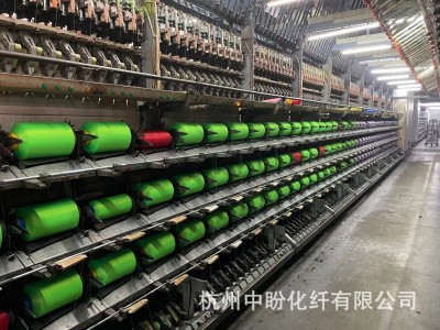 DTY300D/96F 高日晒 美标 欧标 高色