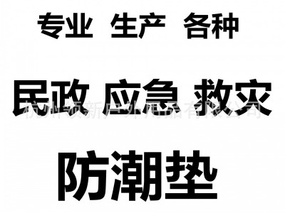 工厂生产政府部门民政应急救灾双面