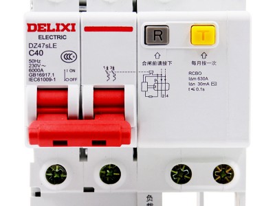 德力西DZ47SLE漏电保护器2P空气开关