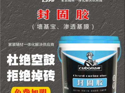 封固胶 墙体界面宝  渗透基膜  墙基