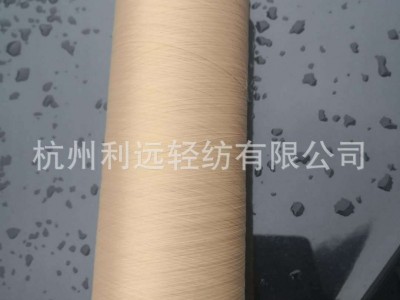 扁平  肤色 蒸纱