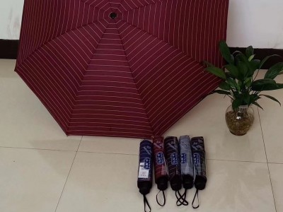 太阳伞蕾丝黑色晴雨伞logo太阳伞三