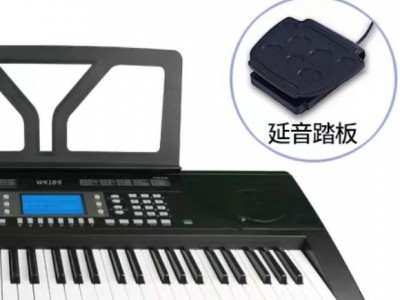 爱尔科WK189电子琴61键力度键盘APP