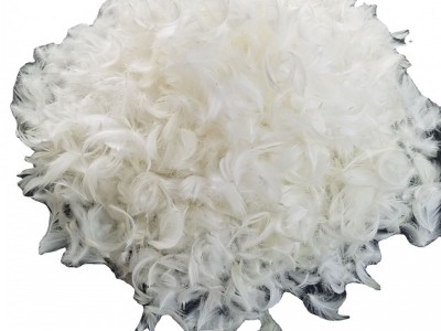 厂家直销优质天然白鸭毛片2-4CM，4-
