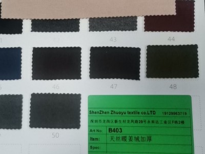 B403 天丝暖姜绒加厚1614#