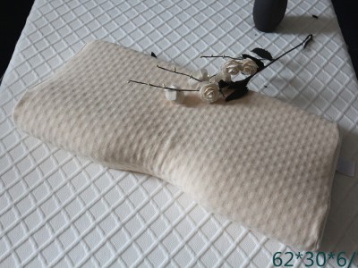 记忆枕  海棉枕 乳胶枕 颈枕工厂