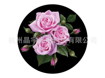 高清旋转LOGO投影灯片花朵图案片广