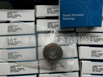 BARDEN(UK)分子泵轴承 C101SSTY33  