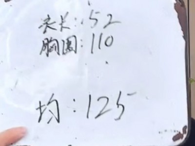 不退不换2060可补货依小鸭子减龄慵