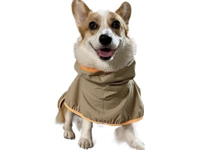 宠物狗猫大型犬柯基雨衣行走安全反