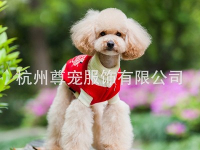 新款狗狗宠物毛衣 休闲可爱舒适新时
