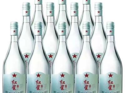 红星二锅头酒 42度白酒500ml*12整箱
