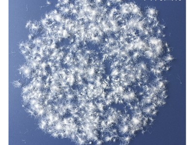 羽绒厂家直销50羽绒国标50白鸭绒清