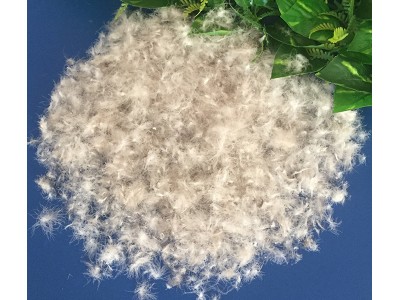 羽绒厂家直销 40灰鸭绒欧标枕芯坐垫