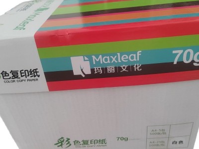 玛丽a4彩色复印纸打印纸70克80克儿