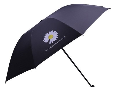 雨伞批发手动小雏菊伞卡通晴雨两用
