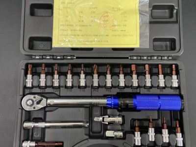 21PC 1/4预置式扭力扳手 可调扭力扳