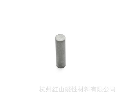 D5*20mm 铝镍钴5类吉他磁钢 Alnico 