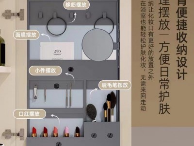 浴室美妆镜背收纳架置物架轻奢镜柜