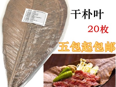 寿司日之出朴叶20枚干朴叶M号日本朴