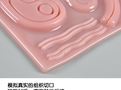 腹腔镜模拟训练器硅胶模型 3D皮肤模