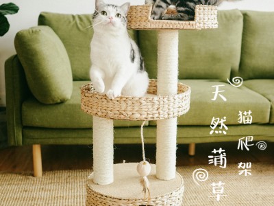 硬齿面斜齿轮减速机K/KA/KAF 47 57 