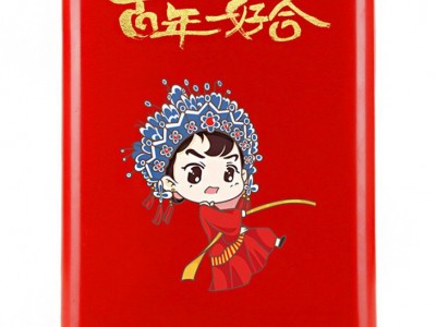 行李箱万向轮拉杆箱20寸旅行结婚密