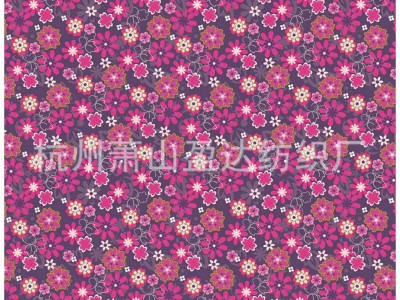 各种类型防水印花布 全涤箱包印花布