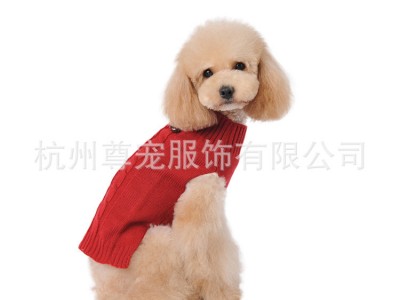 2016新款欧美风宠物服装 多色新款宠