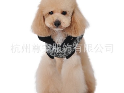 新款休闲风宠物服装 斑点狗狗服 多