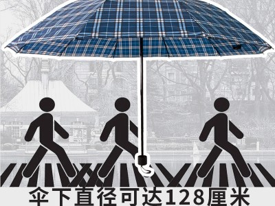 厂家直销批发雨伞超大号格子伞十骨